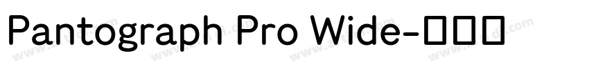 Pantograph Pro Wide字体转换